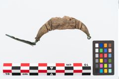 Foto von Bronzebügelbesatzfibel (NHMW-PRAE-026547)